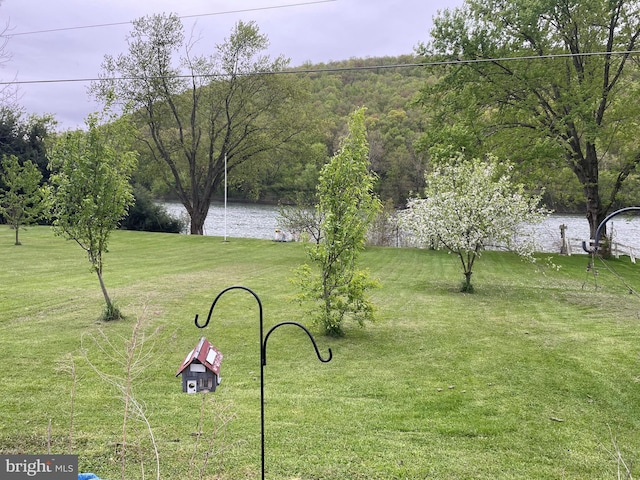 view of yard with a water view