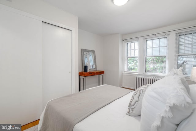 bedroom featuring radiator, hardwood / wood-style floors, and a closet