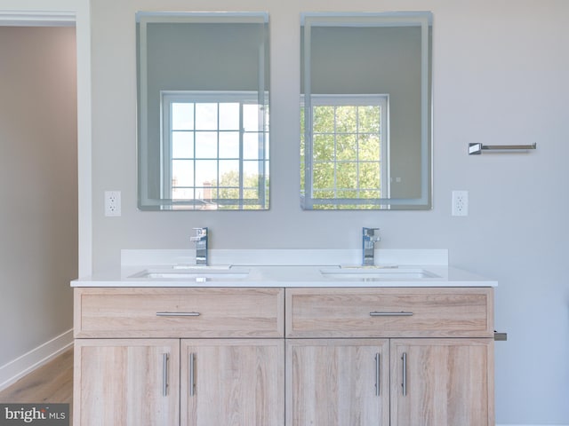 full bathroom featuring double vanity, baseboards, and a sink