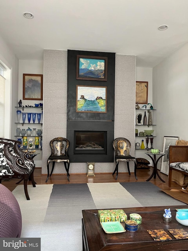 living room featuring hardwood / wood-style floors and a large fireplace