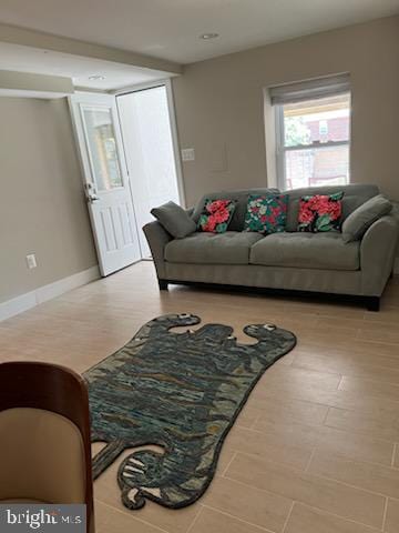 living room with hardwood / wood-style flooring