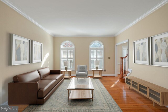 dining space featuring ceiling fan, sink, and ornamental molding