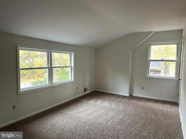 additional living space with a wealth of natural light, carpet flooring, and lofted ceiling