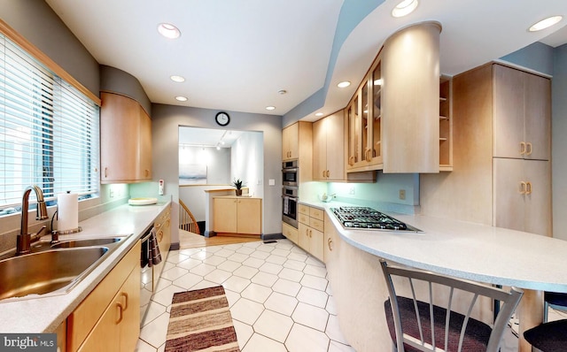 kitchen with sink, stainless steel appliances, and light brown cabinets