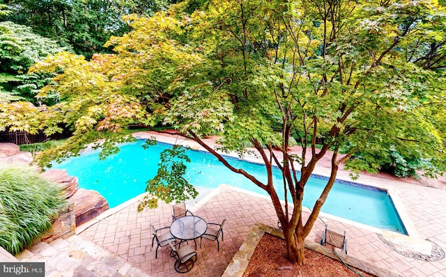 view of pool featuring a patio