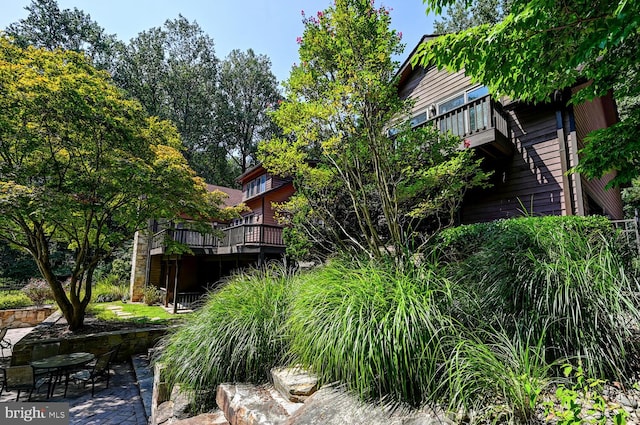 view of yard with a patio area