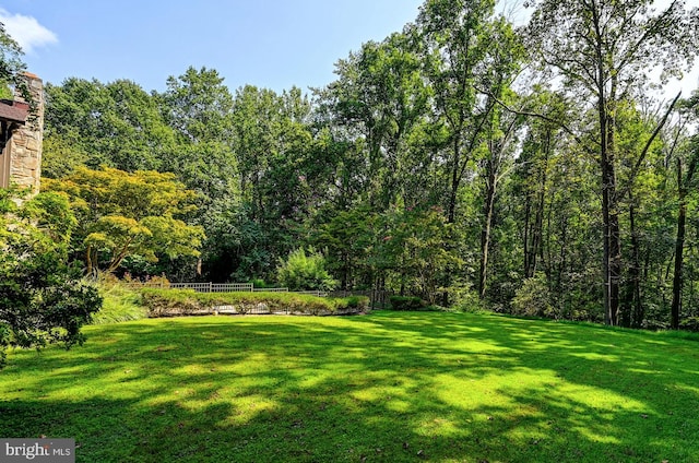 view of yard featuring fence