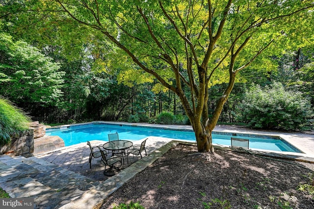 view of swimming pool featuring a patio