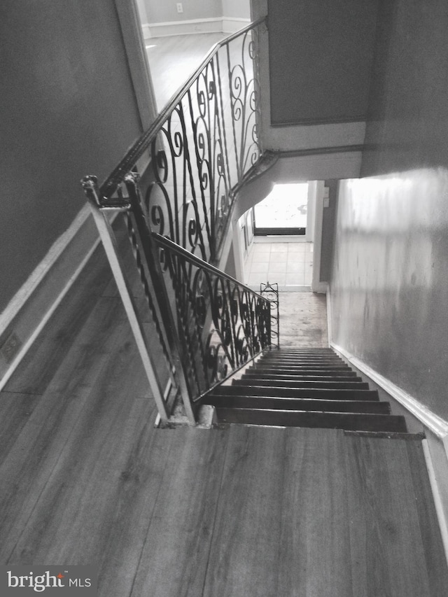 staircase featuring wood-type flooring