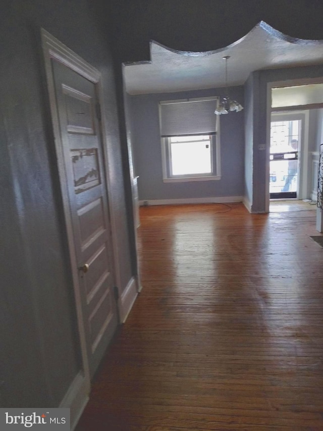 hall featuring an inviting chandelier, dark hardwood / wood-style floors, and plenty of natural light