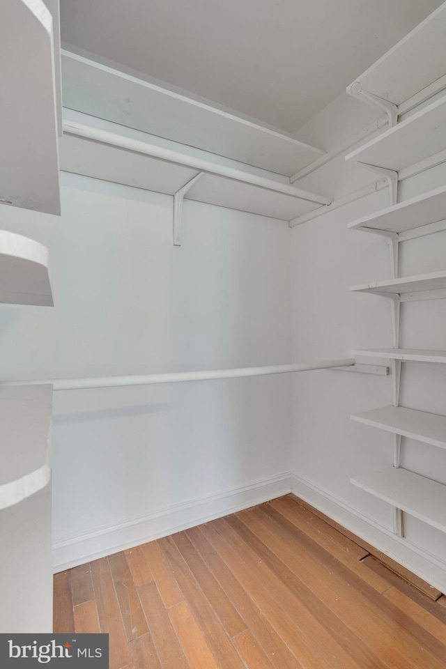 walk in closet featuring wood finished floors