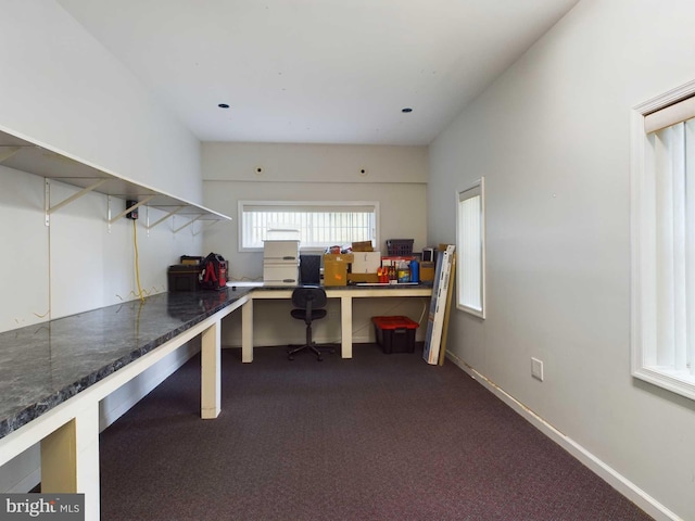 unfurnished office featuring carpet flooring