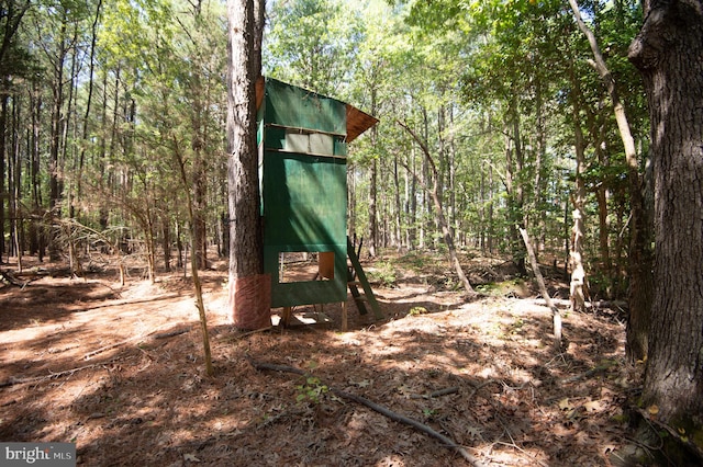 view of jungle gym