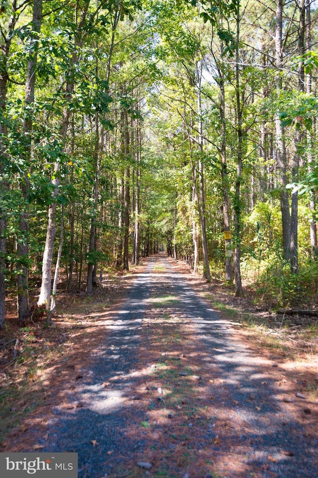 view of road