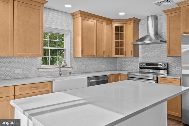 kitchen with stainless steel appliances, sink, wall chimney range hood, and decorative backsplash