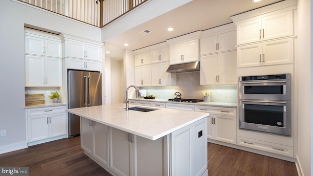 kitchen with appliances with stainless steel finishes, a sink, under cabinet range hood, and an island with sink