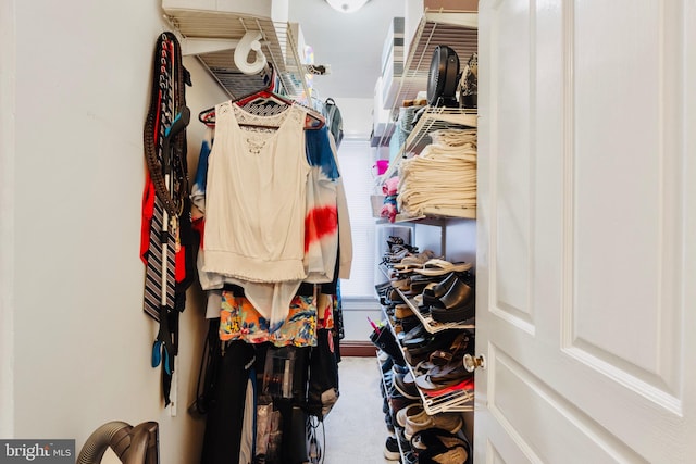 spacious closet featuring carpet