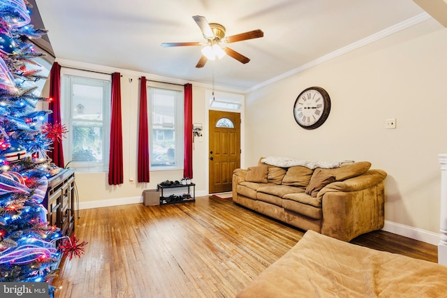 living room featuring wood-type flooring, ornamental molding, and ceiling fan