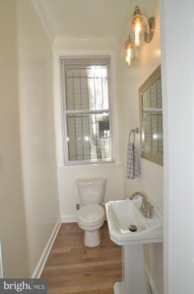 bathroom featuring hardwood / wood-style floors, crown molding, and toilet