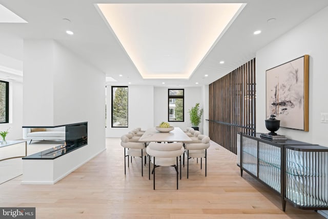 dining area with a tray ceiling and light hardwood / wood-style flooring