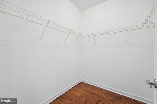 walk in closet featuring wood-type flooring