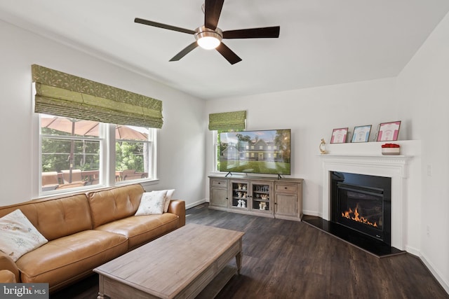 living room with ceiling fan and dark hardwood / wood-style floors