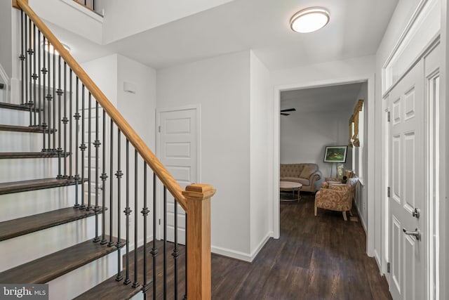 stairway featuring hardwood / wood-style floors