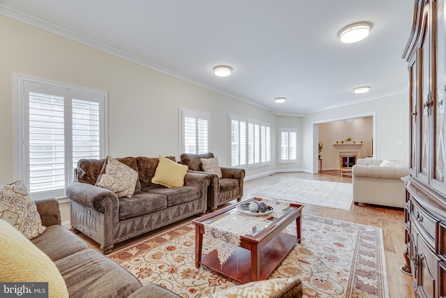 living room featuring light wood-type flooring and ornamental molding