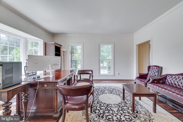 office area featuring wood-type flooring and ornamental molding