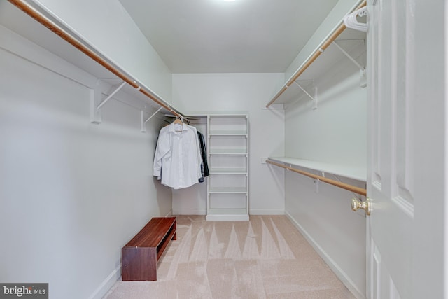 walk in closet with light carpet