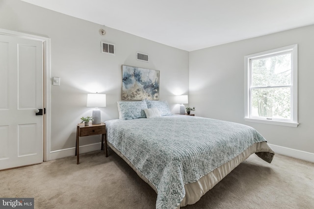 bedroom with carpet floors