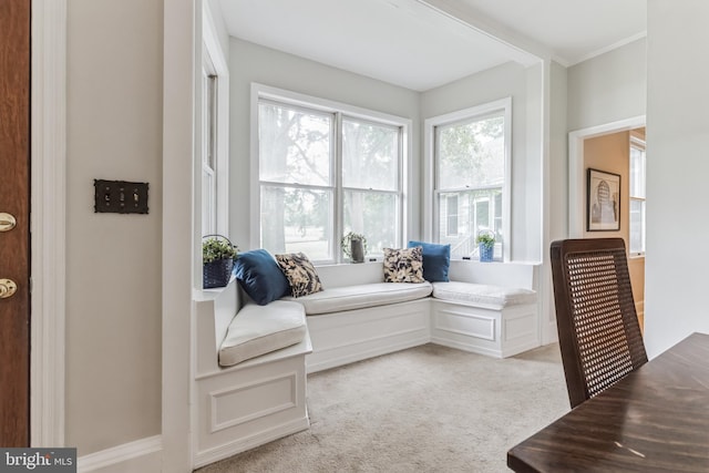 sitting room with light colored carpet