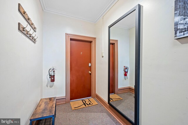 doorway to outside featuring carpet floors and crown molding