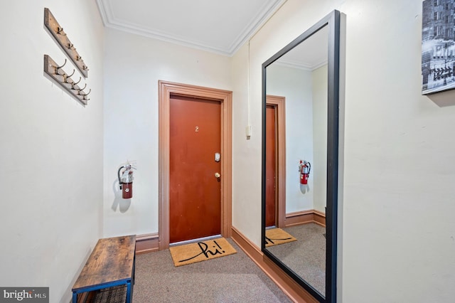 interior space featuring baseboards, carpet flooring, and crown molding