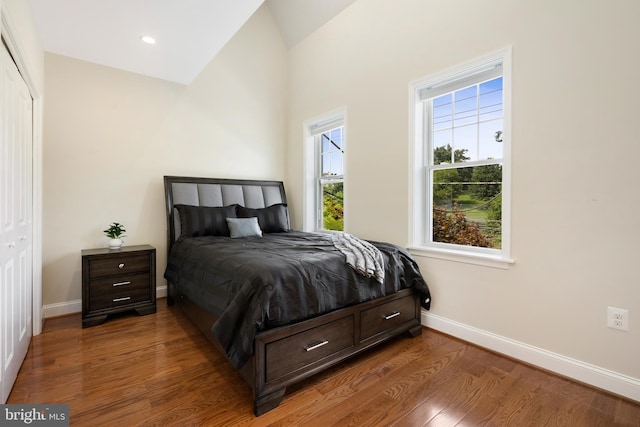 bedroom featuring hardwood / wood-style flooring, a closet, and lofted ceiling