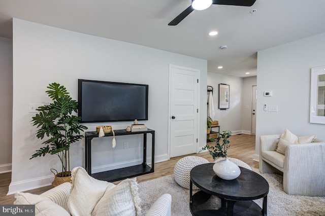 living room with ceiling fan and light wood-type flooring