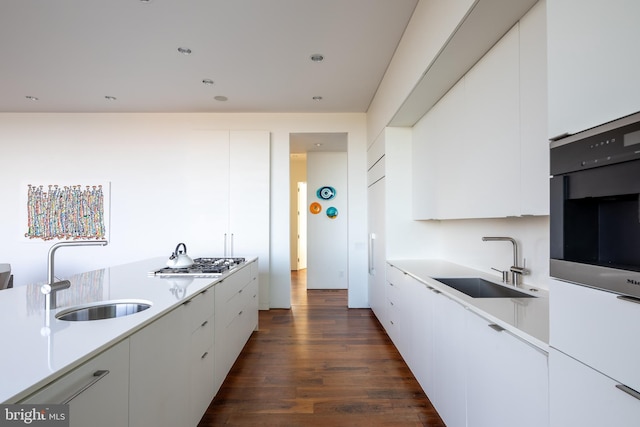 kitchen with dark wood-type flooring, a sink, and modern cabinets