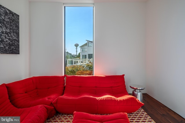 living room with floor to ceiling windows and wood finished floors