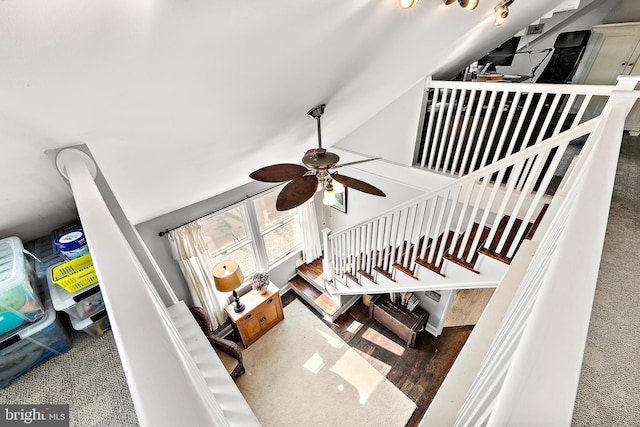 stairs featuring ceiling fan, high vaulted ceiling, and carpet flooring