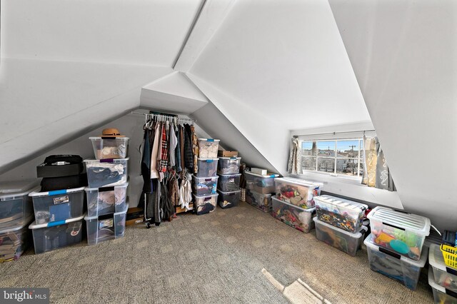 bonus room featuring vaulted ceiling and carpet