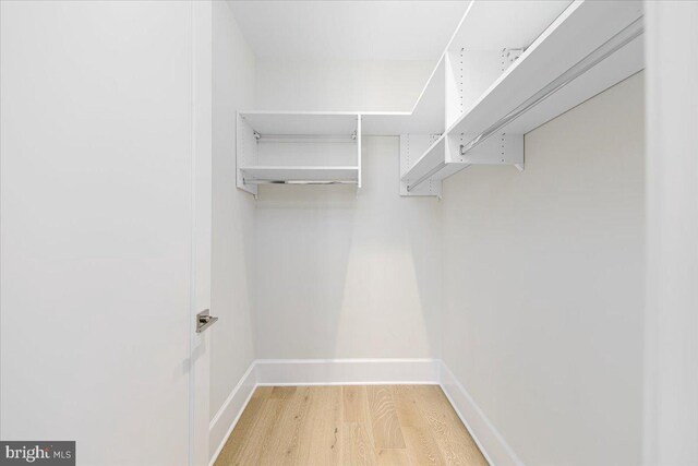 walk in closet with light wood-type flooring