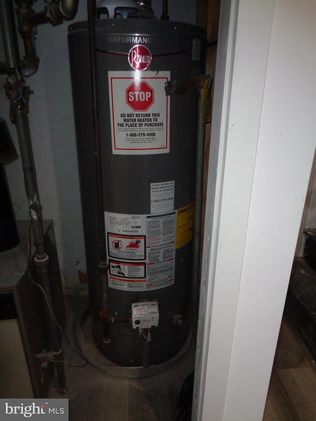 utility room with gas water heater