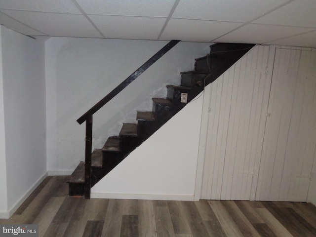 stairs with hardwood / wood-style floors and a drop ceiling