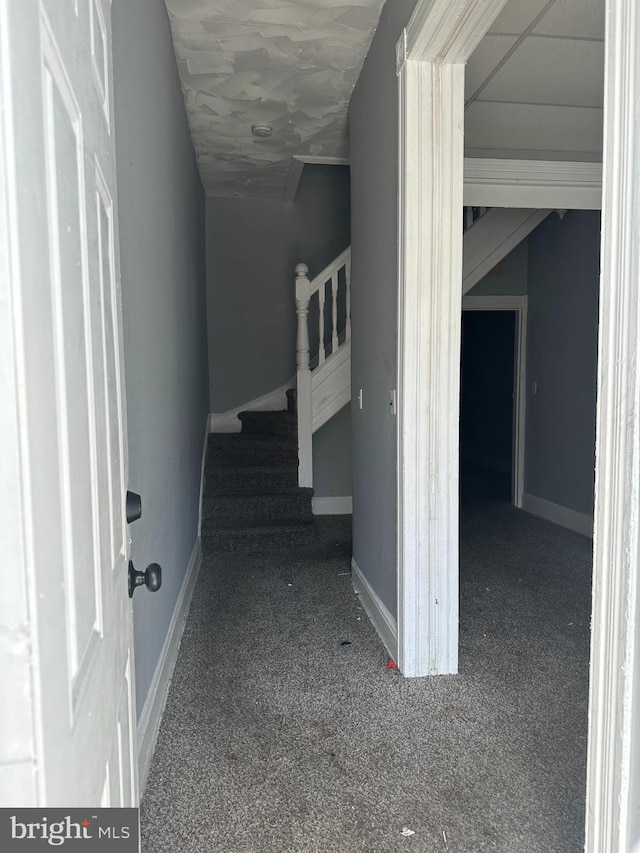 interior space with carpet floors