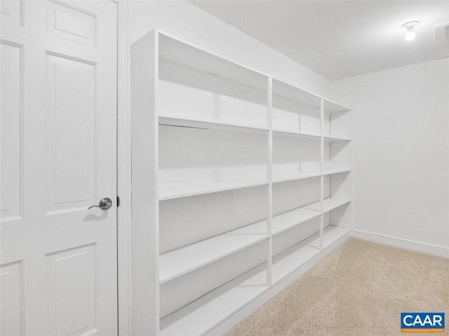 walk in closet featuring light carpet