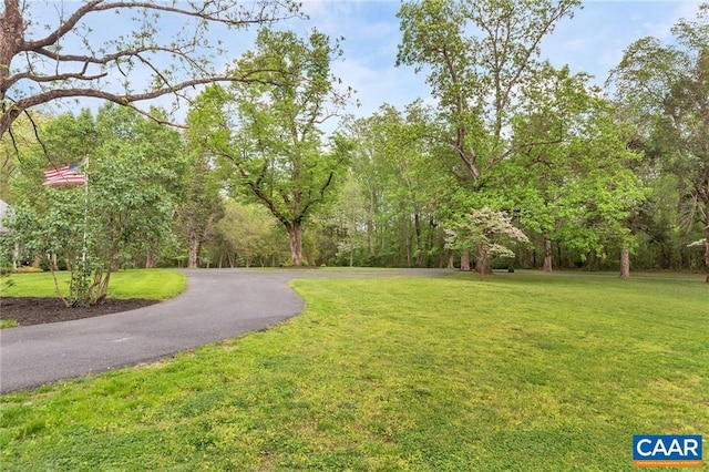 surrounding community featuring a yard