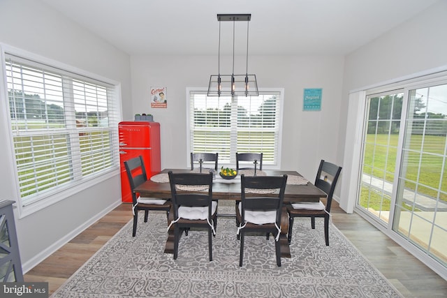 dining area featuring hardwood / wood-style floors and a wealth of natural light