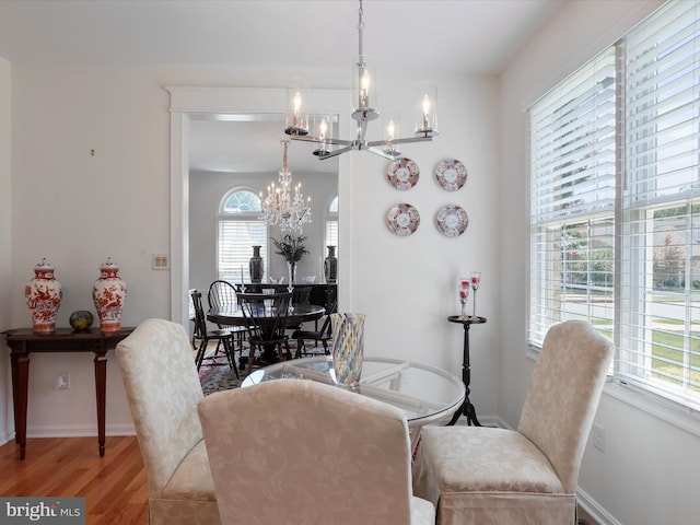 dining room featuring a chandelier, wood-type flooring, and a healthy amount of sunlight