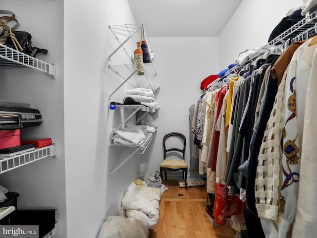 spacious closet featuring hardwood / wood-style flooring