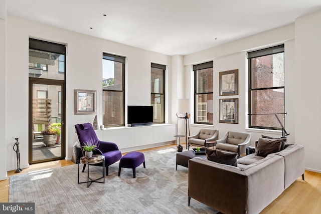 living room with light hardwood / wood-style flooring